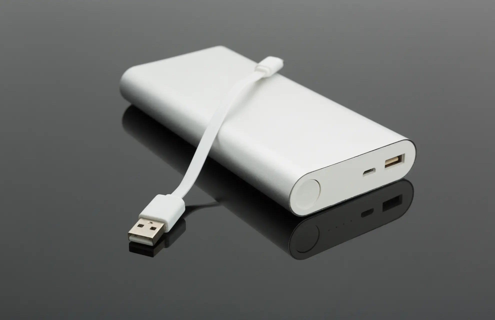 Portable Power Bank